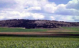 MESETA